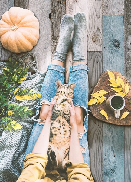 Covor de vinil acasă Placi vechi