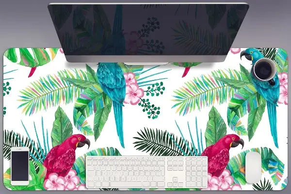 Mapa de birou papagali murale