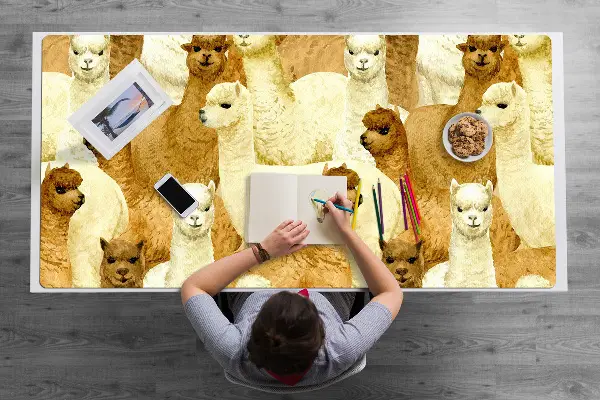 Mapa birou alpaca