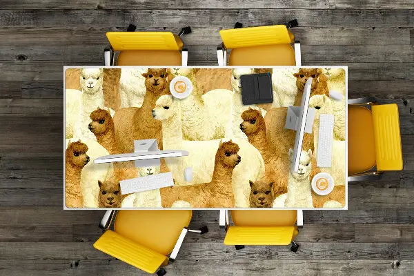 Mapa birou alpaca