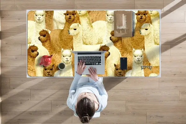 Mapa birou alpaca