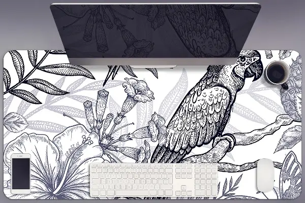 Mapa birou papagal sketching