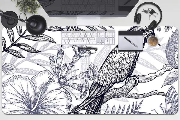 Mapa birou papagal sketching