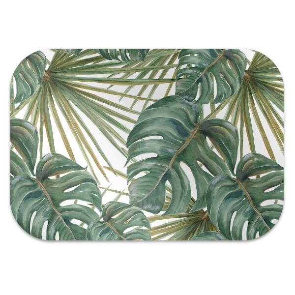protectie podea birou plante exotice