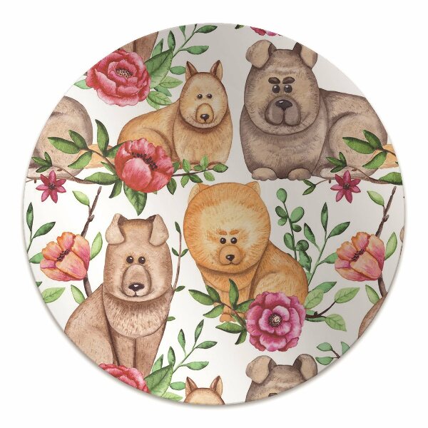 protectie podea scaun Chow chow câini